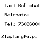 Taxi Bełchatów Paweł Belchatow